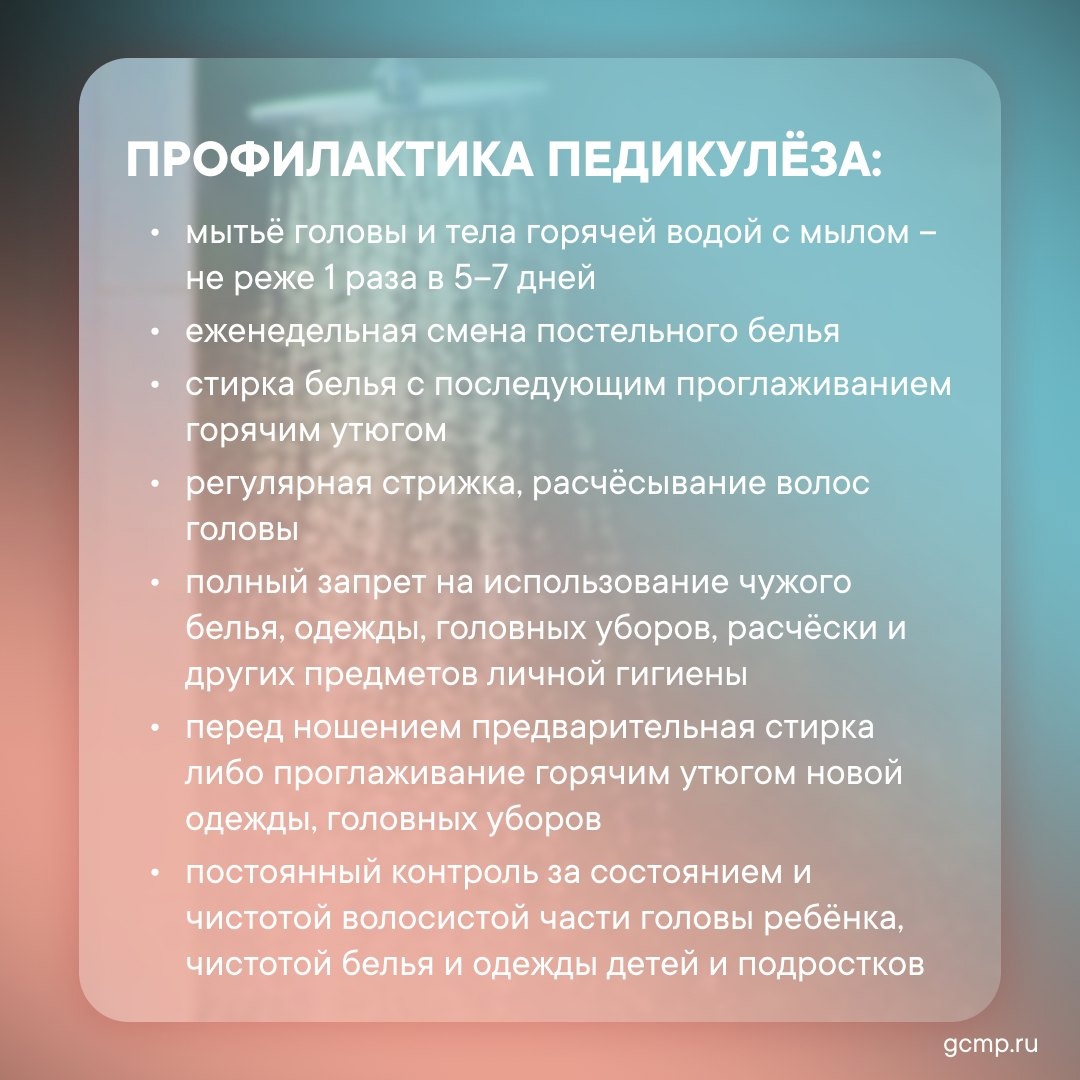 Государственное бюджетное дошкольное образовательное учреждение детский сад  №141 - Новости