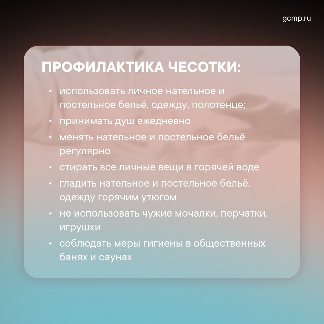 Государственное бюджетное дошкольное образовательное учреждение детский сад  №141 - Новости